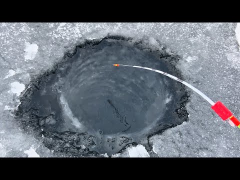 Видео: Решил поймать КРУПНУЮ ПЛОТВУ ЗИМОЙ возле Города и Вот что из этого вышло!