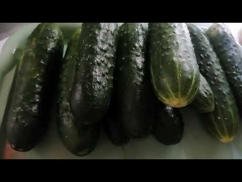 Видео: Рассольник на зиму в банке😋