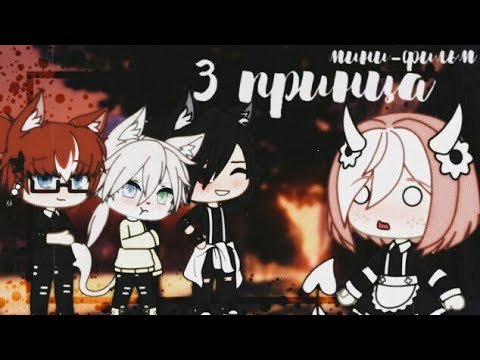 Видео: 3 принца [ мини-фильм ] гача лайф  | Angel |[1/1]