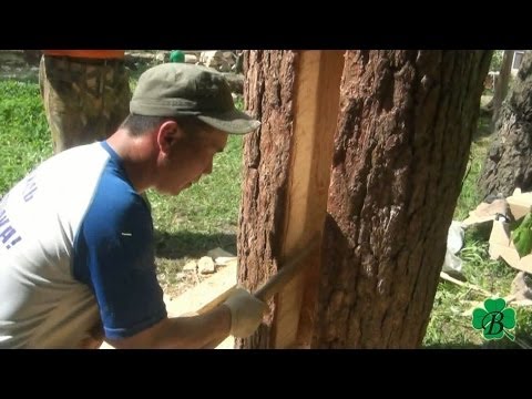 Видео: Возведение колоды