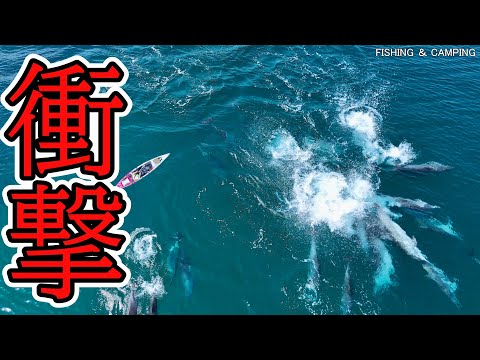 Видео: К женщине, рыбачивавшей на маленькой лодке, внезапно приближаются гигантские существа...