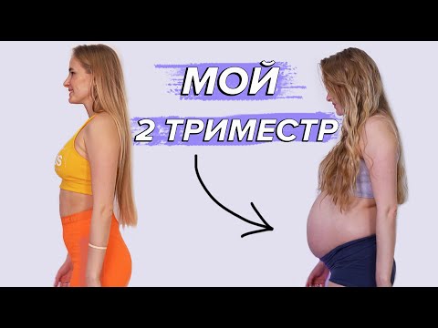Видео: МОЙ 2 ТРИМЕСТР БЕРЕМЕННОСТИ🤰🏼| ПОЛ МАЛЫША| ТОНУС МАТКИ| ПЕРВЫЕ ШЕВЕЛЕНИЯ