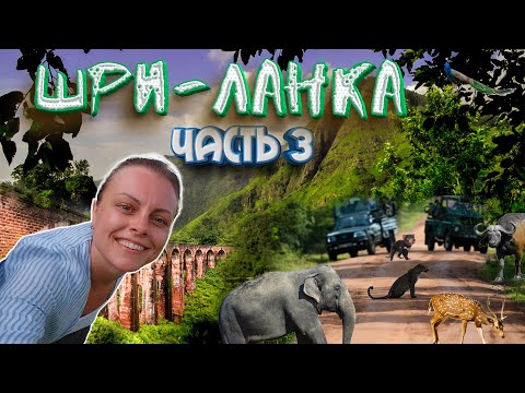 Видео: ШРИ ЛАНКА 2024: самые красивые места. Водопады. Сафари в парке Яла. Что посмотреть на Шри Ланке.