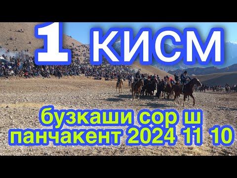 Видео: Бускаши  сор ш панчакент 2024 11 10 👉номери ман +992929323888