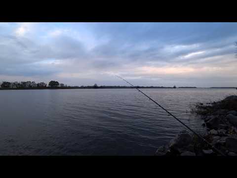 Видео: Осіння плотва клює ДУПЛЕТАМИ! Фідер на Дніпрі...#FishTrip #39