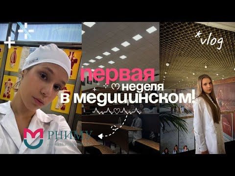 Видео: моя первая неделя в МЕДИЦИНСКОМ🤯🩺РНИМУ им. Пирогова*VLOG посвящение в студенты, первые пары 