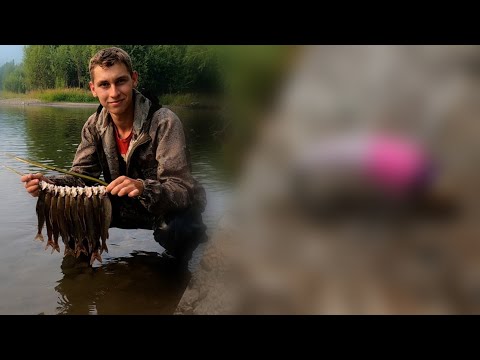 Видео: СЕКРЕТНАЯ мушка для ловли хариуса и ленка. Уже ПРОВЕРЕННАЯ!