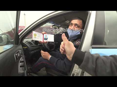 Видео: Тағы қашты Түркістан обл, ақсукент, ремонтқа кеттім деп(біліп қойып) қашып жүрғой масқара, МВД пазор