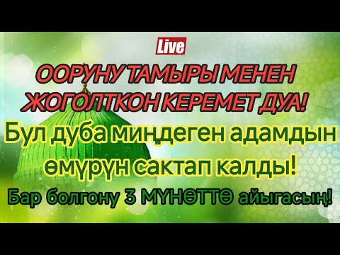 Видео: Пайгамбардын дубасы✨Денедеги бардык ооруларды айткандан кийин🤲Муну уккандан соң далилдеп, сезесиң! 💫