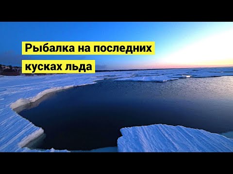 Видео: Рыбалка на последнем куске льда в море