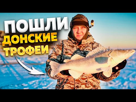 Видео: ЧУТЬ УДОЧКУ НЕ СЛОМАЛ! рыбалка на Дону! Ловля судака на вибы! Рыбалка с эхолотом практик 6м