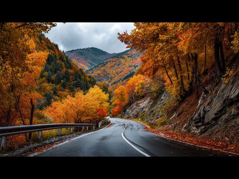 Видео: Прекрасная осенняя музыка 🍁 Успокаивает душу нежными мелодиями