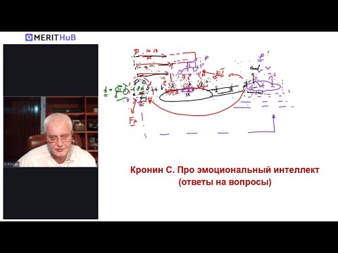 Видео: Кронин С. Про эмоциональный интеллект (ответы на вопросы)