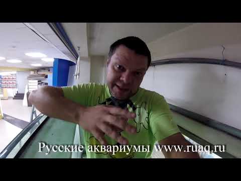 Видео: Аквариум 2500 литров. Ремонт