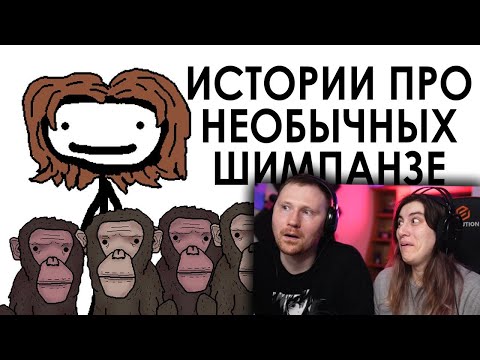 Видео: Истории про необычных шимпанзе | РЕАКЦИЯ на Академия Сэма Онеллы (Озвучка Rumble)