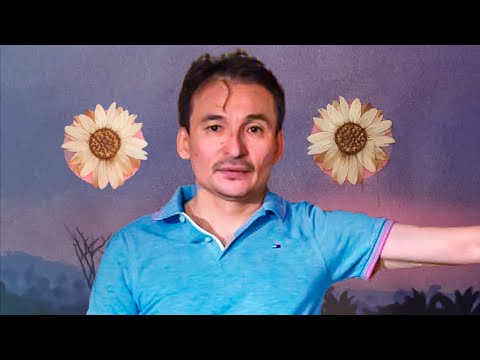 Видео: Достаточно Посмотреть Как Возникает Отдельное "Я" [Просветление / Пробуждение / Осознанность]