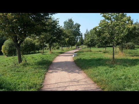Видео: Муринский парк. Август 2022.