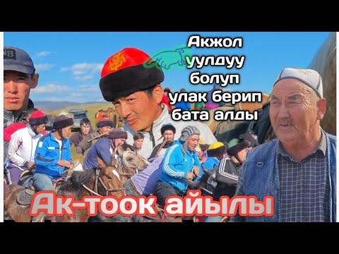 Видео: Акжол улдуу болуп улак берди