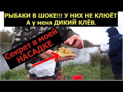 Видео: РЫБАКИ В ШОКЕ, КАК ЭТО ВОЗМОЖНО? У ВСЕХ НЕ КЛЮЁТ А Я ТЯГАЮ)) Супер насадка. Рыбалка в ноябре 2020.
