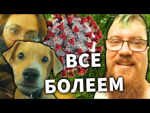 Видео: Мы заболели короной, собака заболела тоже!