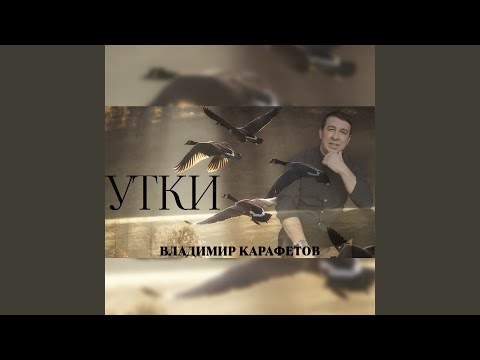 Видео: Утки