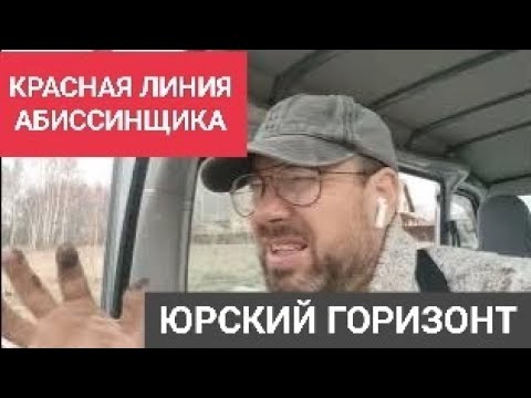 Видео: КРАСНАЯ (ЧЁРНАЯ) ЛИНИЯ ДЛЯ АБИССИНЩИКА || ЮРА КАК СТОП СИГНАЛ