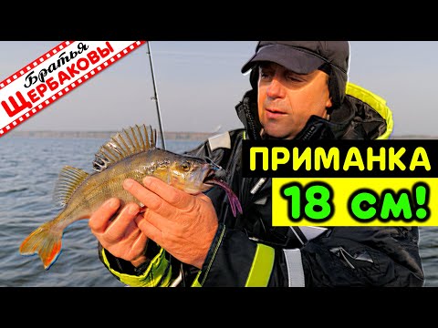 Видео: С лодки В ОТВЕС НА крупную 18 см РЕЗИНУ (Vertical Jigging). Поздняя осень, ВОДОХРАНИЛИЩЕ