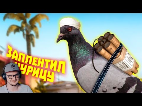 Видео: Лютые приколы в играх ► WDF 270 - СТРАННЫЕ ПТИЦЫ | Реакция
