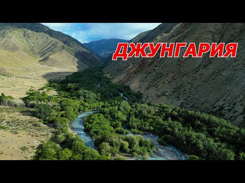 Видео: Южная Джунгария 2025. Природа и семья. Наш летний маршрут.