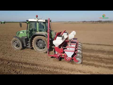 Видео: NPK 15:40:10 ПРИ СЕИТБАТА  НА СЛЪНЧОГЛЕД