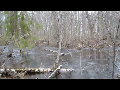 Видео: Чибирь- Чёрная- Безменец. Паводковый сплав по 3 рекам.