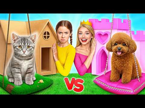 Видео: Строим Секретные Домики для Животных | Богатая Собака vs Бедная Кошка c Multi DO Smile