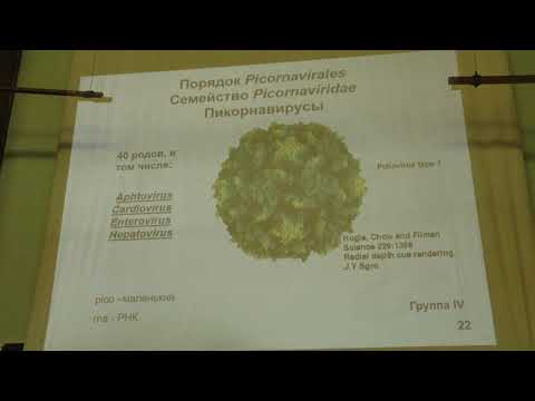 Видео: Карпова О. В. - Вирусология - 4. РНК-содержащие вирусы