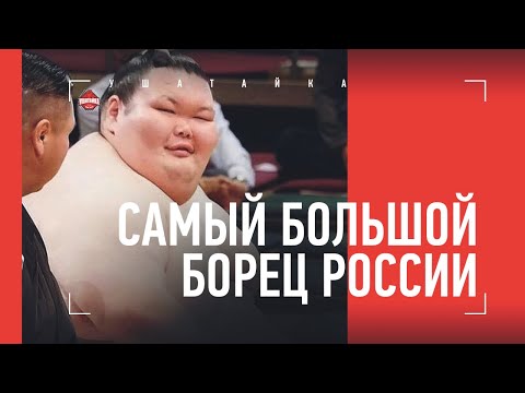 Видео: МИХАХАНОВ - 300-килограммовый сумоист / Как ломал массой, Емельяненко, диета / БОЛЬШОЕ ИНТЕРВЬЮ