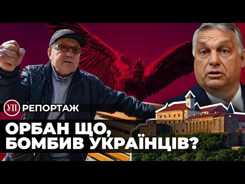 Видео: Що на Закарпатті думають про політику Угорщини та Орбана? | УП. Репортаж