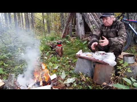 Видео: Моя психотерапия от                                   тревожно- депрессивного растройства