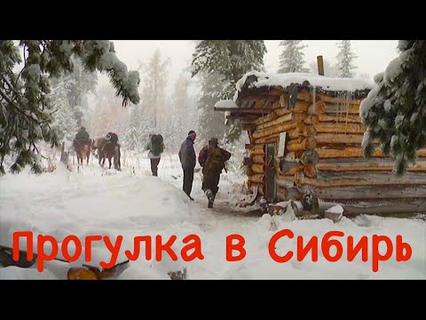 Видео: Прогулка в Сибирь. В тайгу без ружья. Верховье реки Лена. / The Journey to Siberia