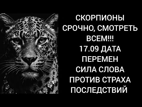 Видео: СКОРПИОНЫ🪬🌑СРОЧНО!!! 17.09. ТОТАЛЬНАЯ ПЕРЕЗАГРУЗКА ТВОЕЙ ЖИЗНИ ЧЕРЕЗ КОРИДОР ПЕРЕМЕН!🪬🌑
