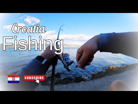 Видео: Вот как Надо Рыбу Ловить || Хорватия ||