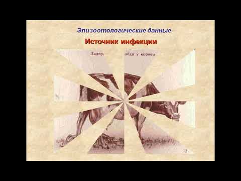 Видео: Петрова Ю.Н.  Бруцеллёз