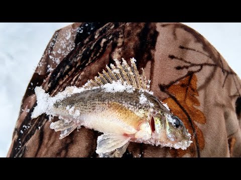 Видео: Зимняя рыбалка в глухозимье. Мормышки, донки, поставушки. Жареная картошка с мясом на костре.