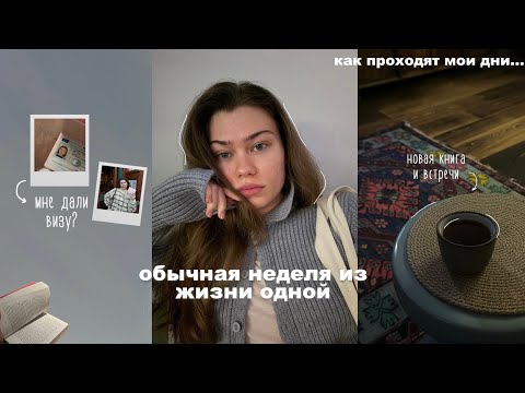 Видео: неделя из жизни одной | мне дали визу?