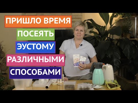 Видео: СЕЕМ ЭУСТОМУ ТАК, ЧТОБЫ ОНА ТОЧНО ВЗОШЛА!