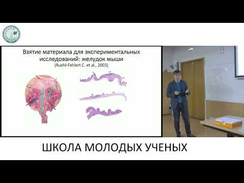Видео: Патогистологическая микротехника в экспериментальной практике - Манских Василий