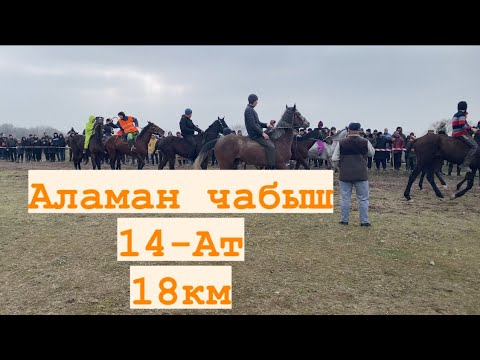 Видео: 3чу болук Аламан Байге. Арал АЙЫЛЫ 25.01.22