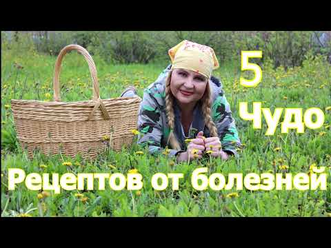 Видео: 5 ЧУДО РЕЦЕПТОВ ИЗ ОДУВАНЧИКОВ. Одуванчики исцеляют. Рецепты от болезней.