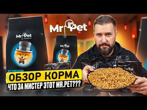 Видео: СУХОЙ КОРМ С МАРКЕТПЛЕЙСА для кошек и собак Mr.Pet | Состав корма и дегустация