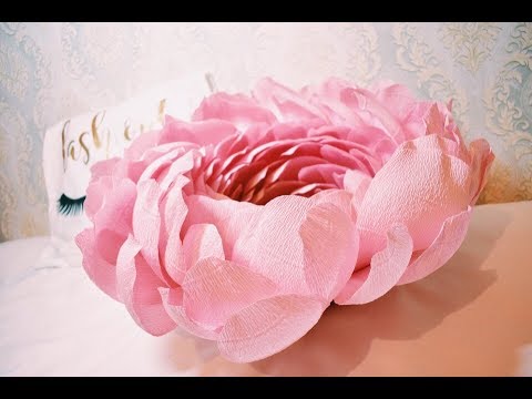 Видео: Очень пышный пион)