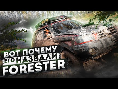 Видео: Вот почему его назвали FORESTER. Тайга, грязь и SUBARU