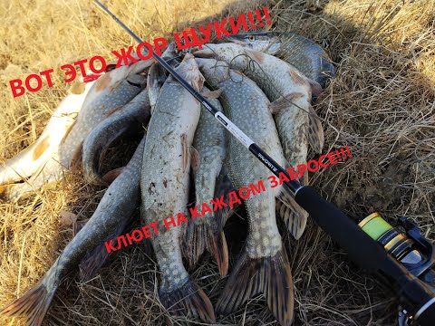 Видео: АФИГЕТЬ ТУТ ЭТОЙ ЩУКИ!!! Рыбалка в Казахстане. Рыбалка 2021.